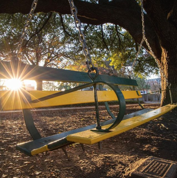 Tree Swing on Baylor Campus